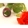 Ring  in Amaranth Dolline