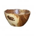 Massive Salad Bowl in Olive Tree Wood